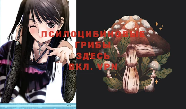 спайс Дмитровск