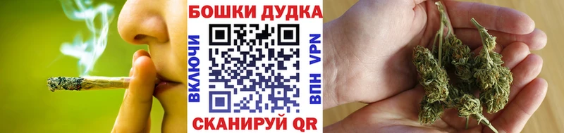 Купить закладки  Лебедянь  Конопля планчик 